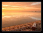 ...WOOD ON THE BEACH...