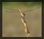 In posa...ciak In posa...ciak