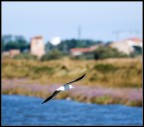 planata sulle valli planata sulle valli