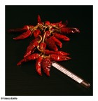 Alte temperature Alte temperature