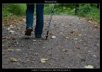 quattro passi nel bosco quattro passi nel bosco