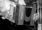 mani e strumento del musicista