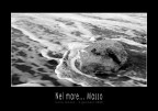Nel mare... Masso Nel mare... Masso