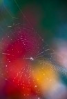 tela e colori tela e colori