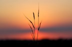 Tramonto Tramonto