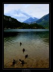 Lago di Cavazzo