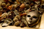 Dietro la maschera dell'autunno Dietro la maschera dell'autunno