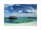 Maldive Maldive