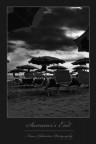 Summer's End Summer's End