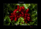 Peppers Peppers