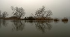 Torbiere del lago di Iseo in una nebbiosa giornata invernale.