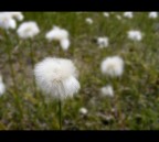 .......st.............. .......st..............