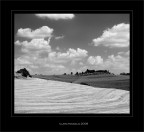 Semplicemente.. Toscana Semplicemente.. Toscana