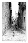 Tornando a casa Tornando a casa