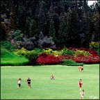 Paradisi artificiali? Paradisi artificiali?