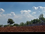 Campagna pugliese Campagna pugliese