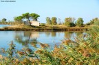 Delta del Po' Delta del Po'