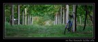 mi hai lasciato tutta sola mi hai lasciato tutta sola