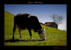 Fuipiano - Valle Imagna Fuipiano - Valle Imagna