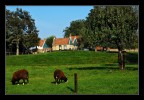 dutch country
