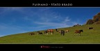Fuipiano - Stato brado Fuipiano - Stato brado