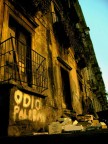Odio Palermo Odio Palermo