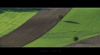 Contadini o Geometri? Contadini o Geometri?