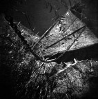 Immagini dal padule #1 Immagini dal padule #1