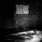 Immagini dal padule #2 Immagini dal padule #2