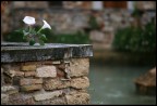 A Bagno Vignoni, qualche anno fa'.
Mi pare di ricordare che era il 200mm f2,8 Jena
Non ricordo la pellicola...

Luce molto molto morbida, ammorbidita da uno scatto a tutta apertura

Commenti e suggerimenti sono sempre ben accettati