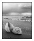 ...STORM BECOMES...