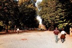 Nel parco