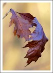 Autunno
