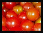 Ho scattato la foto a tema col Tu come la vedi sulla Verdura. Ne ho approfittato quando mio zio ha colto questi dolcissimi pomodorini dal suo orto.