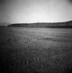 Immagini dal padule #3 Immagini dal padule #3