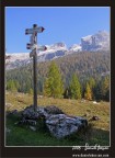 Vallesinella...100% Trentino