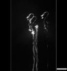 ::: DISEGNI NEL CIELO ::: ::: DISEGNI NEL CIELO :::