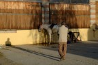 Ombra della sera Ombra della sera