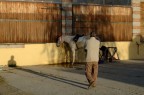 Calda luce autunnale, un uomo e il suo cavallo