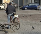 Un ritaglio di vita urbana, una mattina qualsiasi in una cittadina in provincia di Milano.