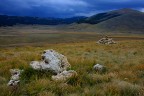 SASSI,OMETTO,MONTAGNA