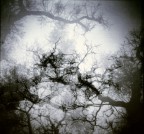 un' attimo di caos un' attimo di caos