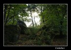 Controluce -4- Controluce -4-