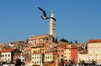 Rovigno d'Istria Rovigno d'Istria