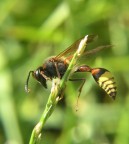 Un pò di ginnastica Un pò di ginnastica