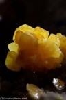 Wulfenite Wulfenite