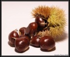 8 castagne 8 castagne