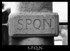 S.P.Q.N. S.P.Q.N.