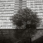 EUR (serie in corso) EUR (serie in corso)