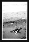 Il tema era: Aria-Acqua-Terra_Fuoco
Scansioni di stampe di autori vari
